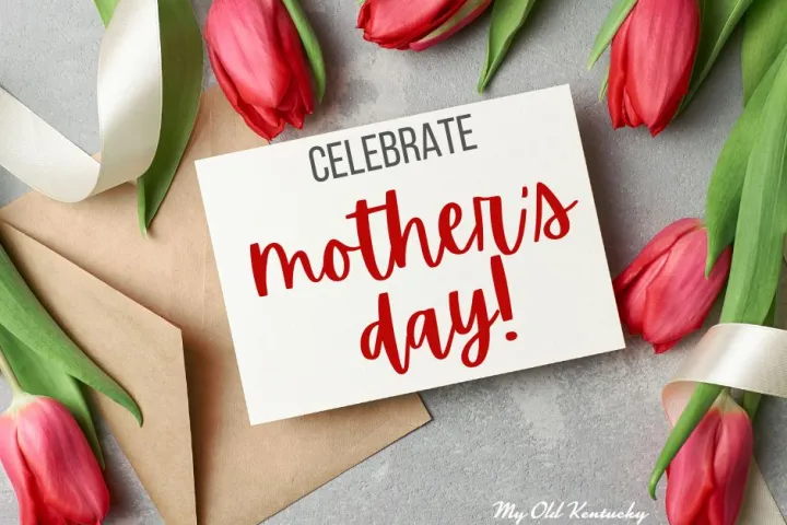 Card saying 'Celebrate Mother's Day!' with red tulips, ribbon, and brown envelope.