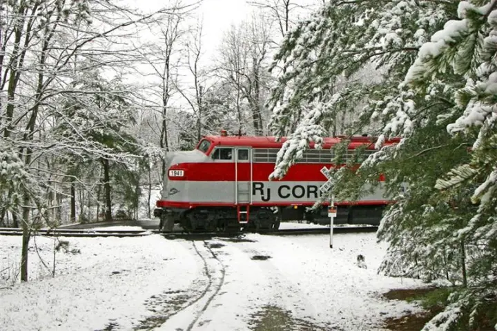 Red and gray train crossing snowy track in winter forest landscape.